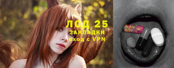 эйфоретик Гусь-Хрустальный