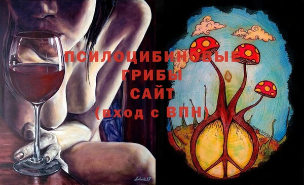 эйфоретик Гусь-Хрустальный