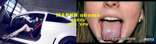 эйфоретик Гусь-Хрустальный