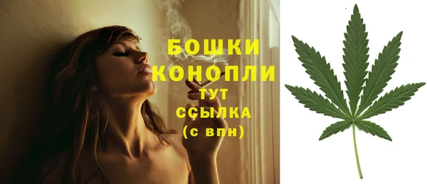прущие крисы Гусев