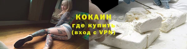 эйфоретик Гусь-Хрустальный