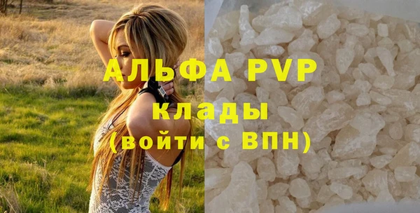 прущие крисы Гусев