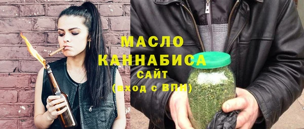 молекула духа Гусиноозёрск