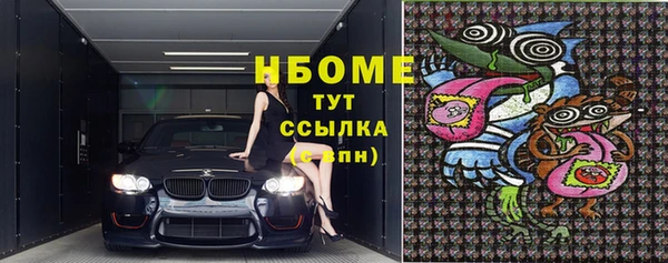 молекула духа Гусиноозёрск