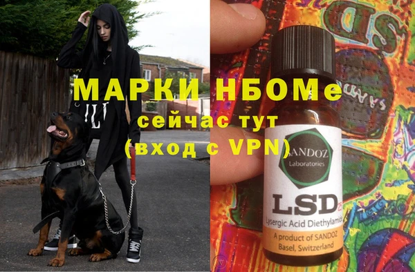 прущие крисы Гусев