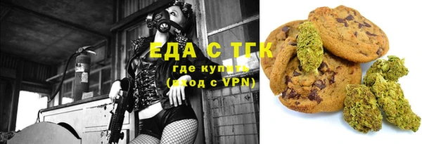 эйфоретик Гусь-Хрустальный