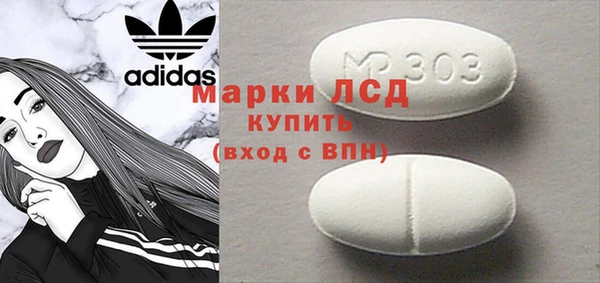 эйфоретик Гусь-Хрустальный